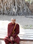wat maha that