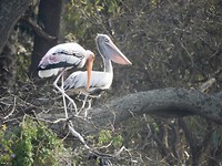 In het park