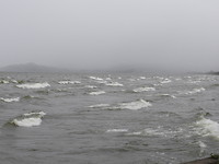 foto tydens de regen
