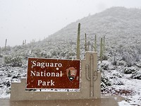 Cactussen park
