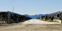 Een koeien farm