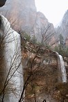 Zion nat park