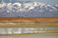Antelope island