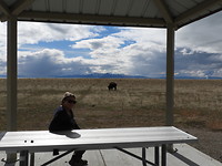 Antelope island