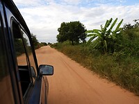 Onderweg naar de baobab bomen