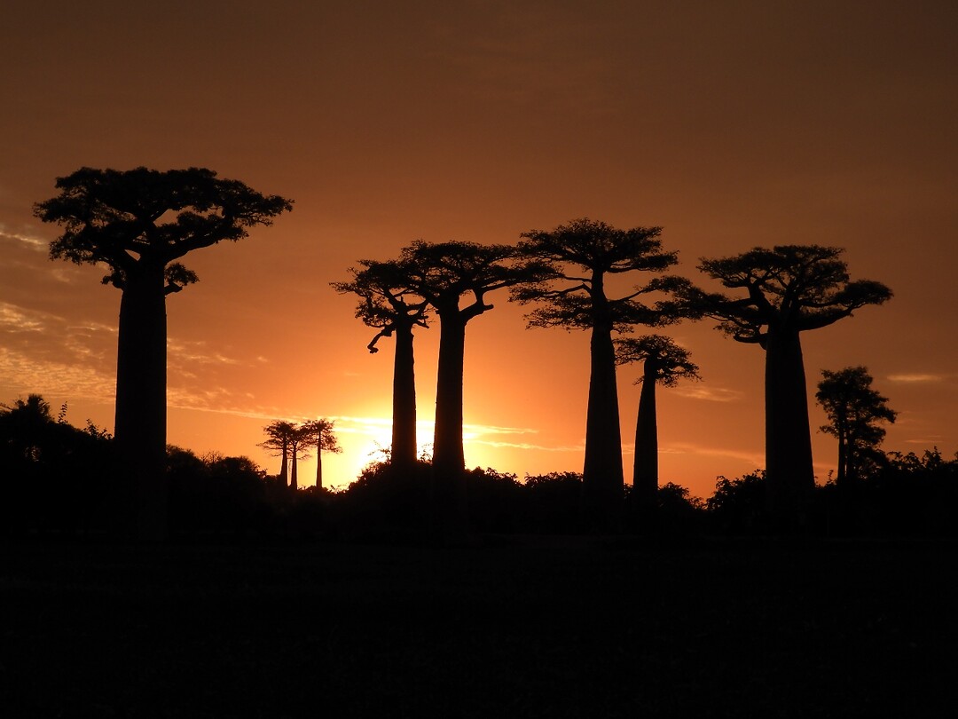 De sunset