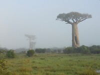 DSCN4031