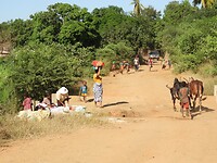 DSCN4125