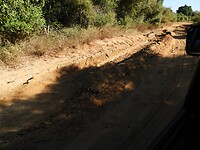 DSCN4112