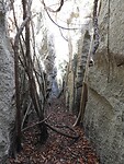 DSCN4433