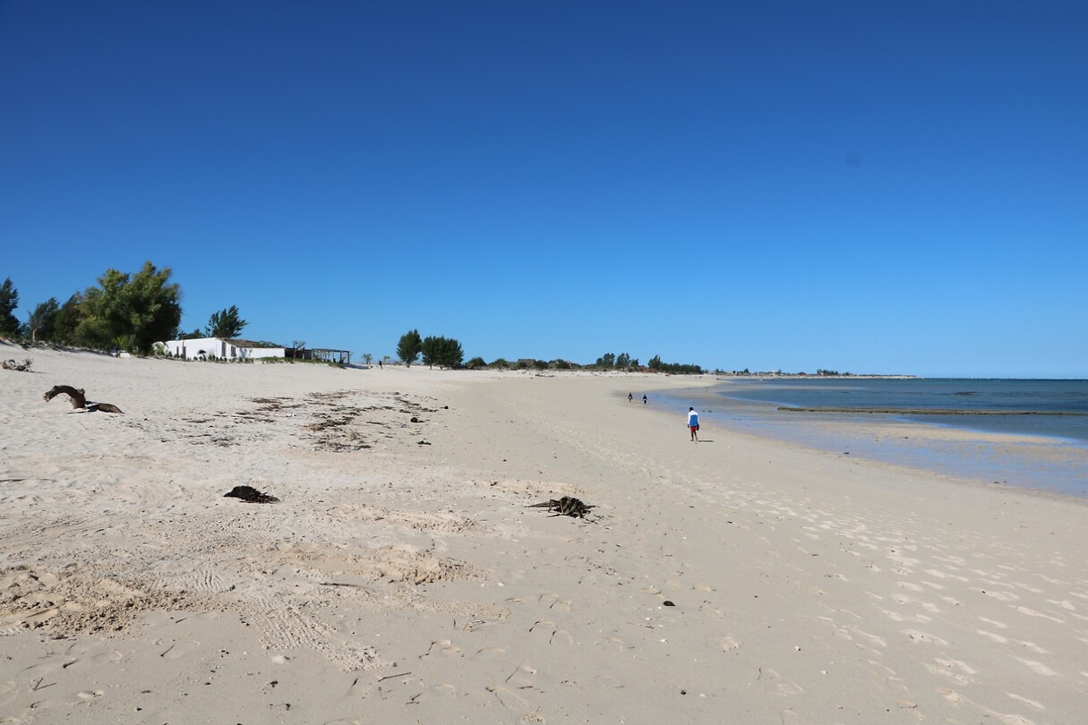 The beach