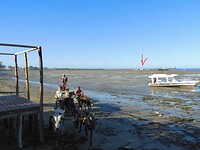 Op de ossenkar naar onze boot