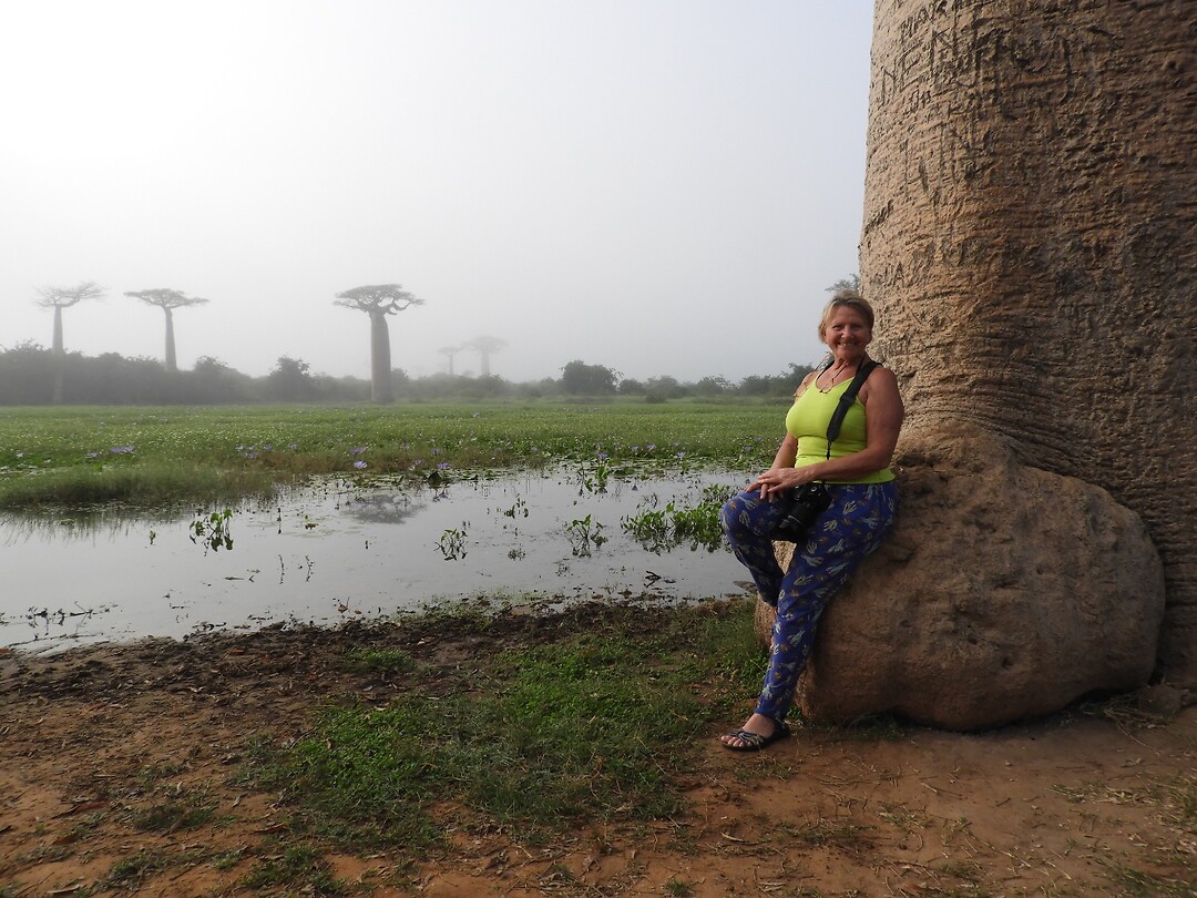 Bij de baobab
