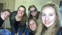Gezelligheid met pabochicks