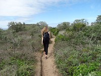 Hiking in Robberg Nature Reserve, Plettenberg Bay