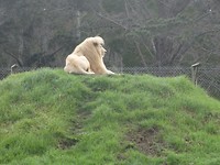 In Jukani Wildlife Sanctuary, Plettenberg Bay