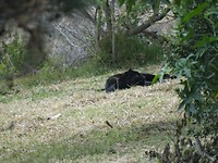 In Jukani Wildlife Sanctuary, Plettenberg Bay