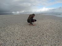 Het strand in Hermanus