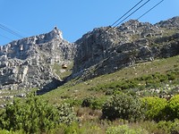 The Table Mountain in Kaapstad