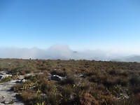 The Table Mountain in Kaapstad