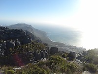 The Table Mountain in Kaapstad