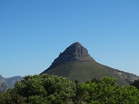 Lionshead