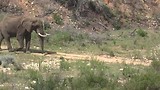 Botlierskop Game Reserve