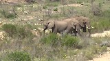 Botlierskop Game Reserve