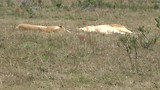 Botlierskop Game Reserve