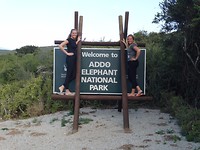 In Addo Elephant National Park