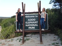 In Addo Elephant National Park