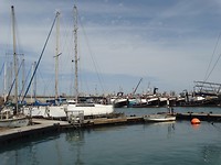 Walvissensafari bij Raggy Charters