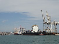 Walvissensafari bij Raggy Charters
