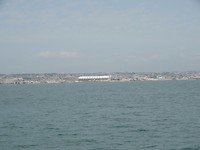 Walvissensafari bij Raggy Charters
