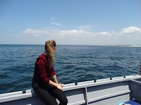 Walvissensafari bij Raggy Charters