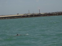 Walvissensafari bij Raggy Charters