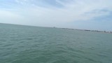 Walvissensafari bij Raggy Charters, Port Elizabeth