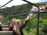 Mansfield Game Reserve