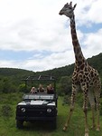 Mansfield Game Reserve