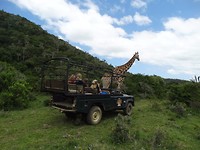 Mansfield Game Reserve