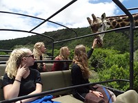 Mansfield Game Reserve