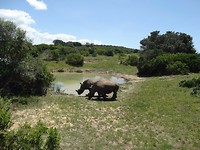 Sibuya Game Reserve