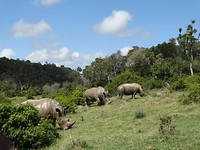Sibuya Game Reserve
