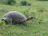 Sibuya Game Reserve