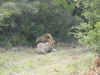 Sibuya Game Reserve
