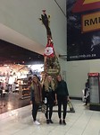Nog even met de giraffe op de foto