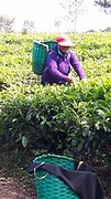 20160602_095930
