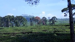 20160602_100842