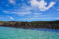 Isla Espiritu Santo