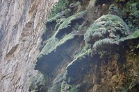 Canyon de Sumidero